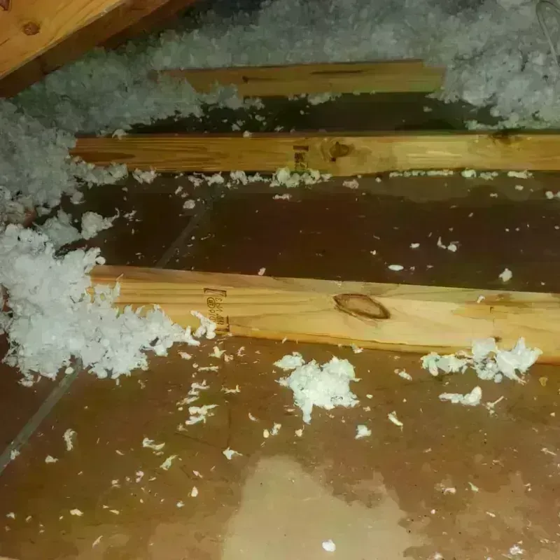 Attic Water Damage in Claremont, CA