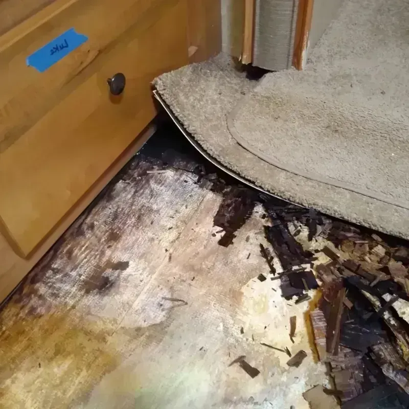 Best Wood Floor Water Damage Service in Claremont, CA